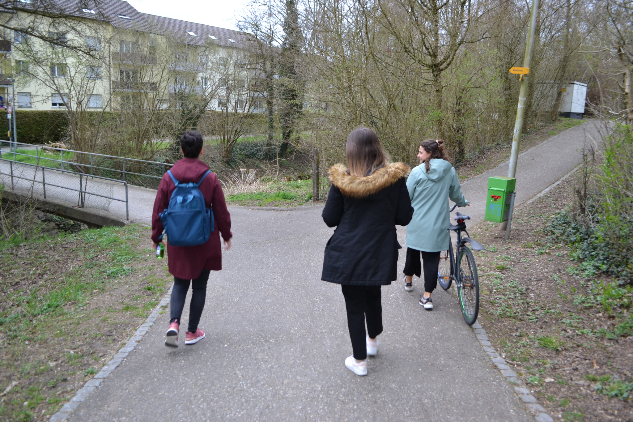 Bild (40)